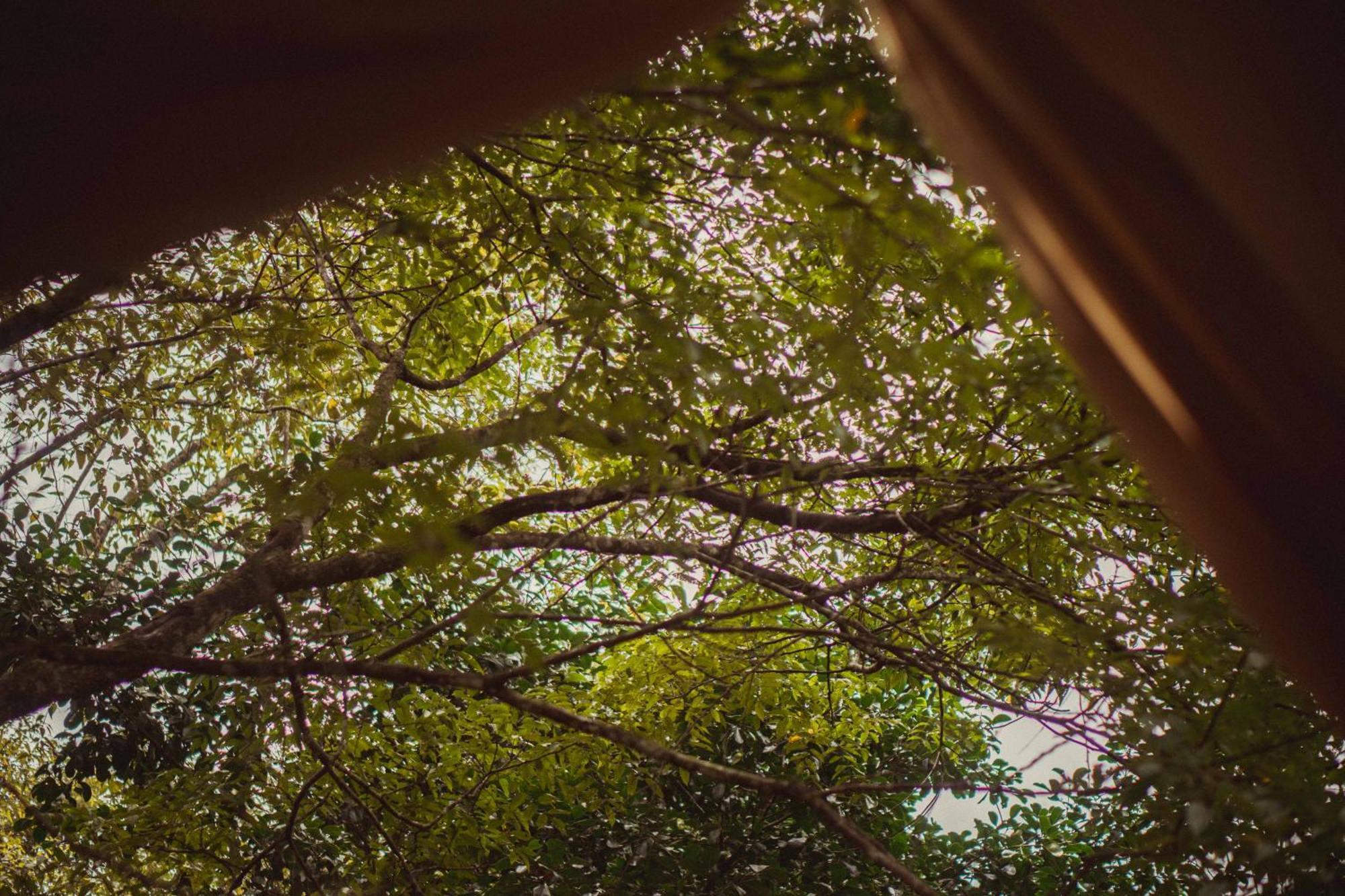 A Little Home Mang Den Kon Von Kla Ngoại thất bức ảnh